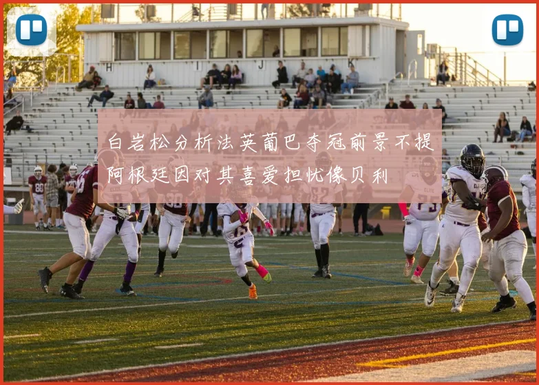 白岩松分析法英葡巴夺冠前景不提阿根廷因对其喜爱担忧像贝利