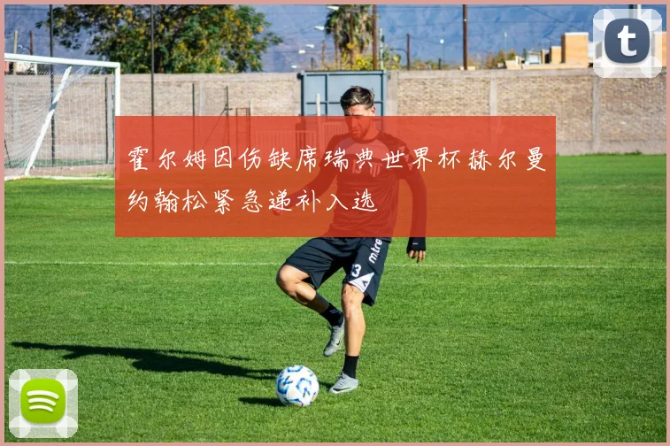 霍尔姆因伤缺席瑞典世界杯赫尔曼约翰松紧急递补入选